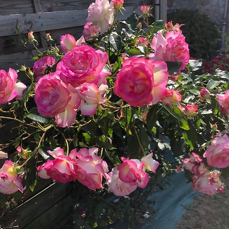 Les Hortensias Grand-Fougeray Exterior foto